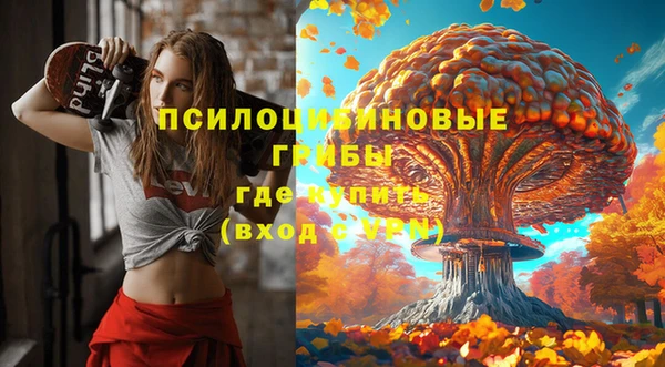mdpv Медногорск